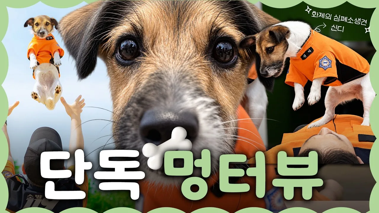 끝까지 책임지는 유능한 공직사회, ‘국민’을 위해 ‘혁신’ 합니다. 대표 썸네일